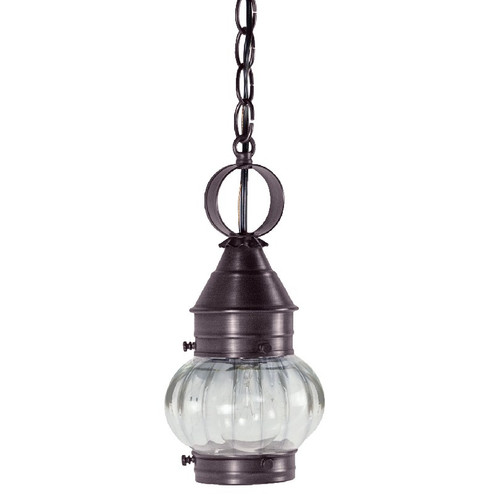 Cageless One Light Hanging Lantern in Dark Brass (196|2012DBMEDOPT)