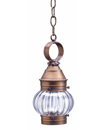 Cageless One Light Hanging Lantern in Antique Brass (196|2012ABMEDOPT)