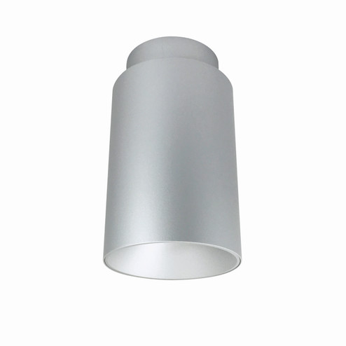 Cylinder Ilene LED Surface Mount in Silver (167|NYLM5SCCDXSSLE4)
