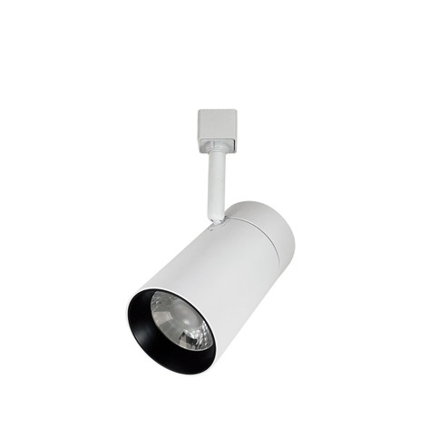 Track LED LED Track Head in White (167|NTE865L930FW)