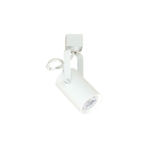 Track LED LED Track Head in White (167|NTE860L9CDM10W)