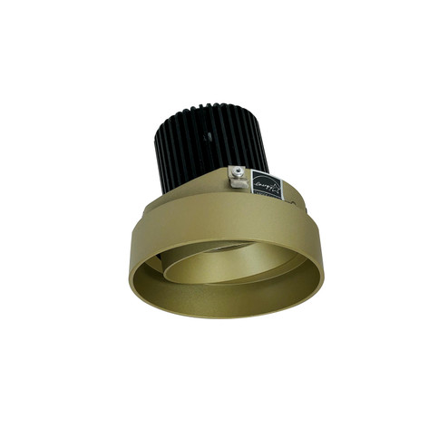 Rec Iolite Adjustable Trim in Champagne Haze Adjustable / Champagne Haze Reflector (167|NIO4RTLA30XCH10)