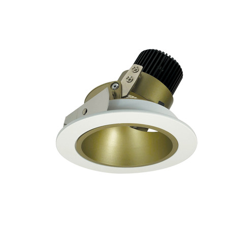 Rec Iolite Reflector Adjustable Trim in Champagne Haze Reflector / Matte Powder White Flange (167|NIO4RDCDXCHMPW)