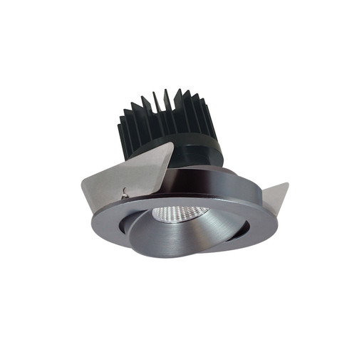Rec Iolite Adjustable Trim in Natural Metal / Natural Metal (167|NIO4RC40XNNHL)