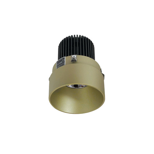 Rec Iolite LED Trimless Downlight in Champagne Haze (167|NIO2RTLNDC40QCH)