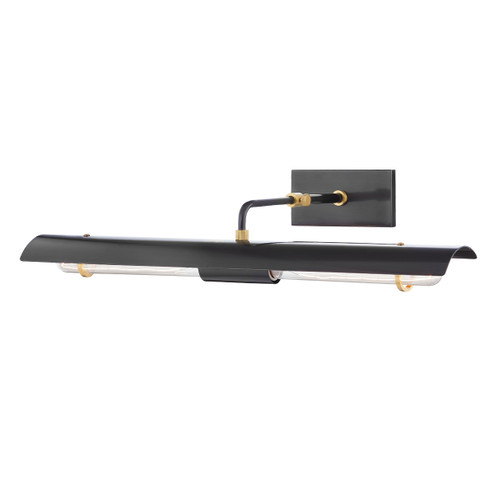 Raelynn Two Light Picture Light in Aged Brass/Old Bronze (428|H741102BAOB)