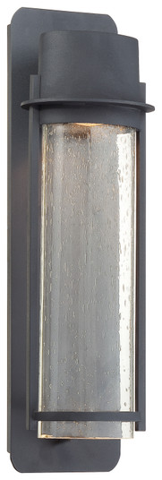 Artisan Lane One Light Outdoor Wall Mount in Black (7|7225266)