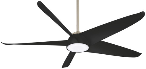 Ellipse 60''Ceiling Fan in Brushed Nickel/Coal (15|F771LBNCL)