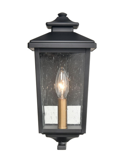 Eldrick One Light Outdoor Hanging Lantern in Powder Coat Black (59|4641PBK)