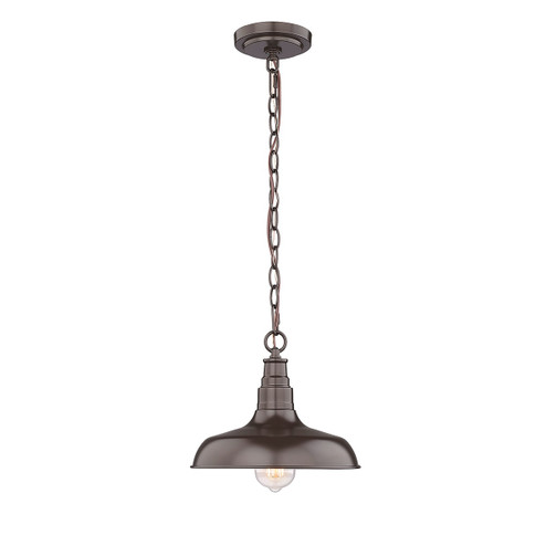 One Light Outdoor Hanging Lantern in Powder Coat Bronze (59|2952PBZ)