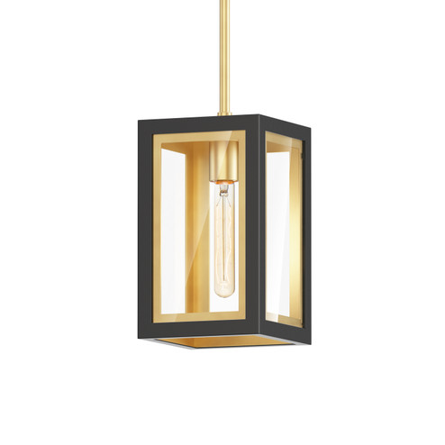 Neoclass One Light Outdoor Pendant in Black / Gold (16|30051CLBKGLD)