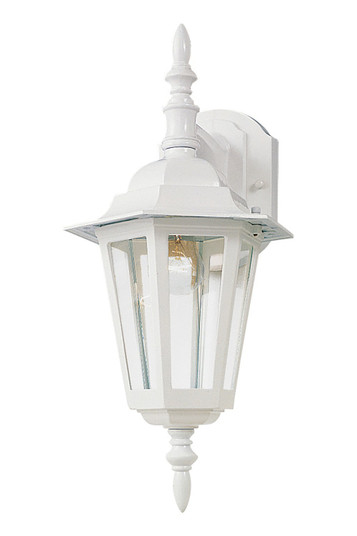 Builder Cast One Light Outdoor Wall Lantern in White (16|3002CLWT)
