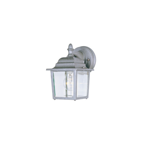 Builder Cast One Light Outdoor Wall Lantern in Pewter (16|1025PE)
