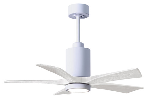 Patricia-5 42'' Ceiling Fan in Gloss White (101|PA5WHMWH42)
