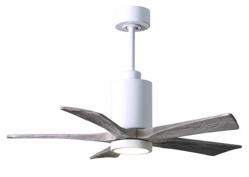 Patricia-5 42'' Ceiling Fan in Gloss White (101|PA5WHBW42)