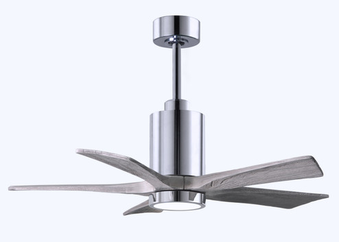 Patricia-5 42'' Ceiling Fan in Polished Chrome (101|PA5CRBW42)