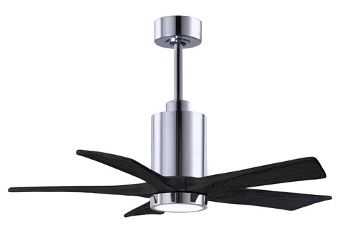 Patricia-5 42'' Ceiling Fan in Polished Chrome (101|PA5CRBK42)