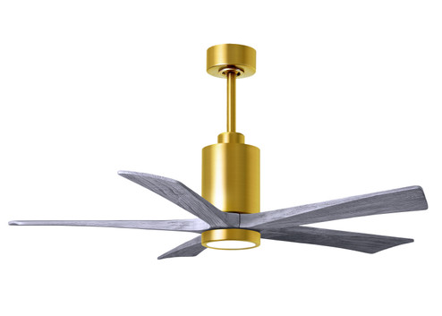 Patricia-5 52'' Ceiling Fan in Brushed Brass (101|PA5BRBRBW52)