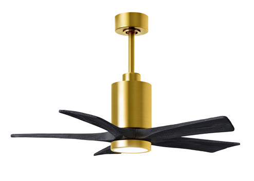 Patricia-5 42'' Ceiling Fan in Brushed Brass (101|PA5BRBRBK42)