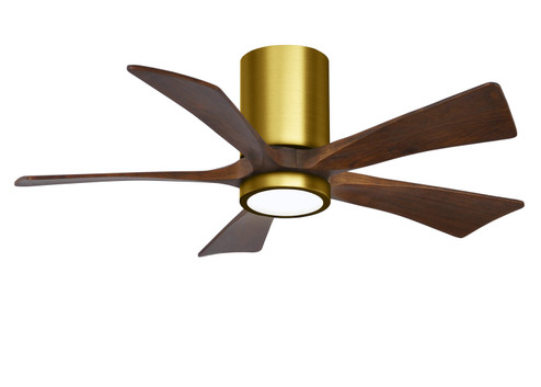 Irene-5HLK 42'' Ceiling Fan in Brushed Brass (101|IR5HLKBRBRWA42)