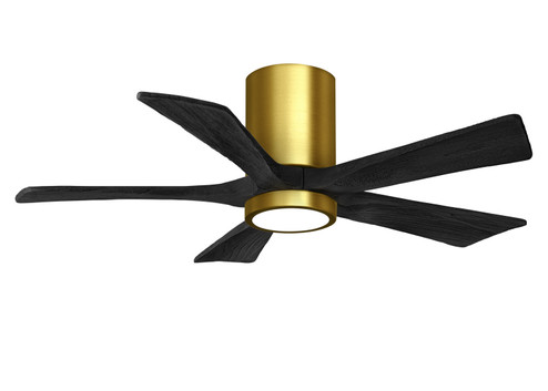 Irene-5HLK 42'' Ceiling Fan in Brushed Brass (101|IR5HLKBRBRBK42)