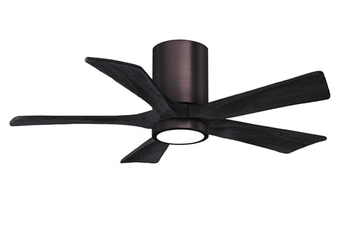 Irene-5HLK 42'' Ceiling Fan in Brushed Bronze (101|IR5HLKBBBK42)
