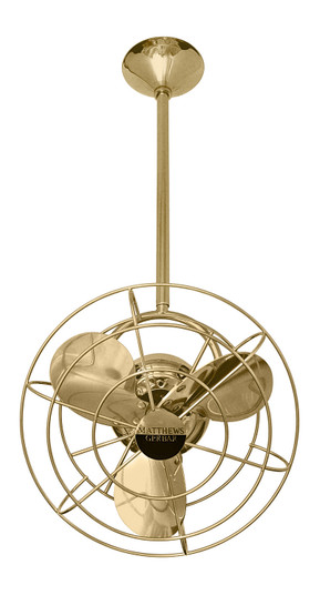 Bianca Direcional 16''Ceiling Fan in Polished Brass (101|BDPBMTL)