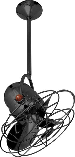 Bianca Direcional 13'' Ceiling Fan in Black Nickel (101|BDBKNMTL)
