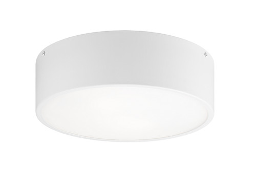 SNARE Two Light Flush Mount in White (423|M12702WH)