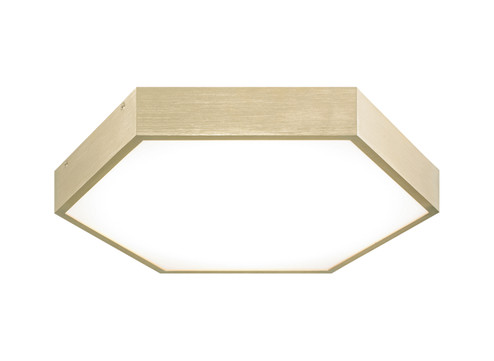 Hexol LED Flush Mount in Oxidized Gold (423|M12614OG)