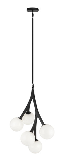 Rami Five Light Chandelier in Black (423|C81505BKOP)