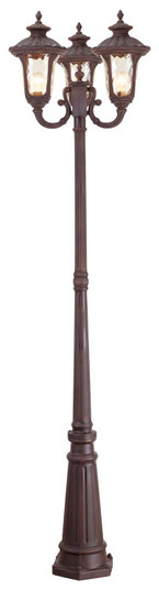 Oxford Three Light Outdoor Post Mount in Hand Applied Imperial Bronze (107|766658)