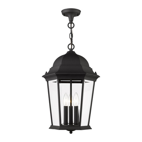 Hamilton Three Light Outdoor Pendant in Textured Black (107|756914)