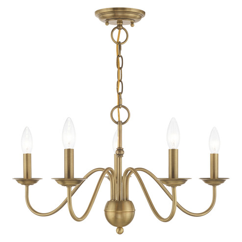 Windsor Five Light Chandelier in Antique Brass (107|5216501)