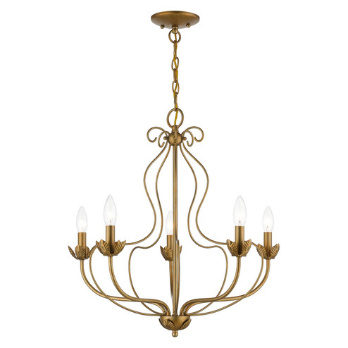 Katarina Five Light Chandelier in Antique Gold Leaf (107|4290548)