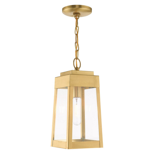 Oslo One Light Outdoor Pendant in Satin Brass (107|2085412)