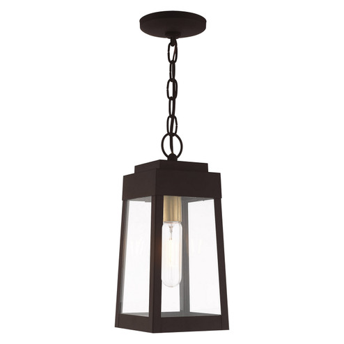 Oslo One Light Outdoor Pendant in Bronze w/ Antique Brass (107|2085407)