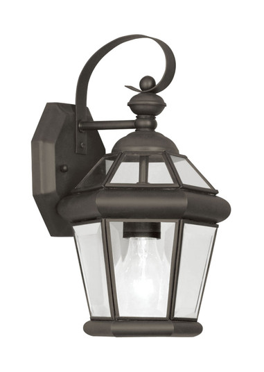 Georgetown One Light Outdoor Wall Lantern in Bronze (107|206107)