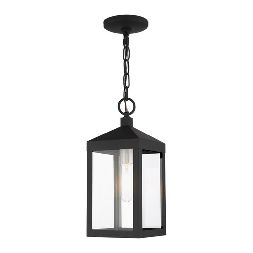 Nyack One Light Outdoor Pendant in Black w/ Brushed Nickel Cluster (107|2059104)