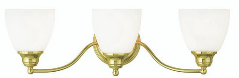 Somerville Three Light Bath Vanity in Polished Brass (107|1367302)
