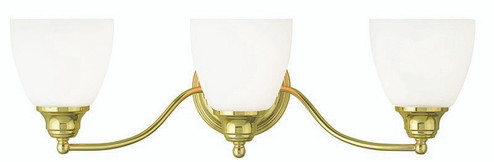 Somerville Three Light Bath Vanity in Polished Brass (107|1367302)