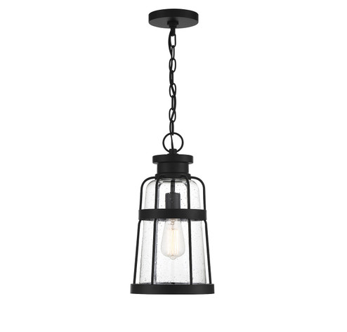 Quinton One Light Hanging Lantern in Matte Black (159|V6L52943BK)