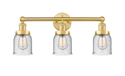 Edison Three Light Bath Vanity in Satin Gold (405|6163WSGG54)