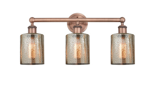 Edison Three Light Bath Vanity in Antique Copper (405|6163WACG116)