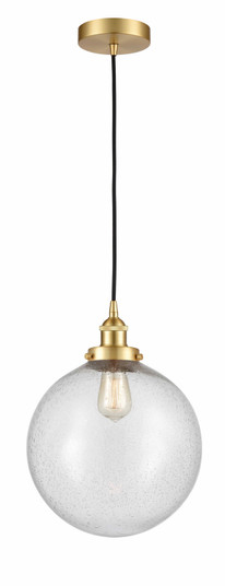 Edison One Light Mini Pendant in Satin Gold (405|6161PHSGG20412)