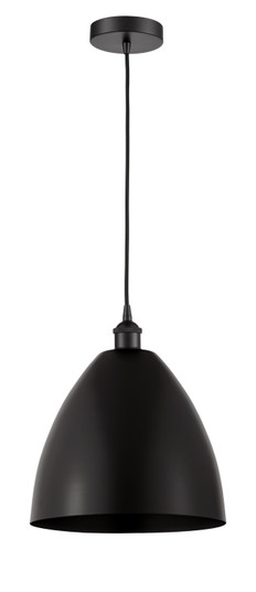 Edison One Light Mini Pendant in Matte Black (405|6161PBKMBD12BK)