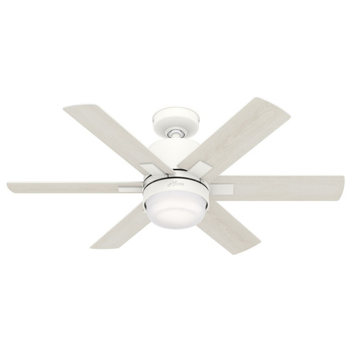 Radeon 44'' Ceiling Fan in Matte White (47|50955)