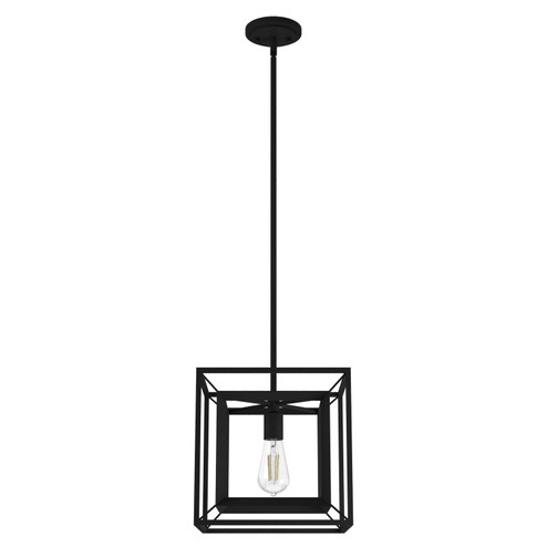 Doherty One Light Pendant in Natural Black Iron (47|19406)