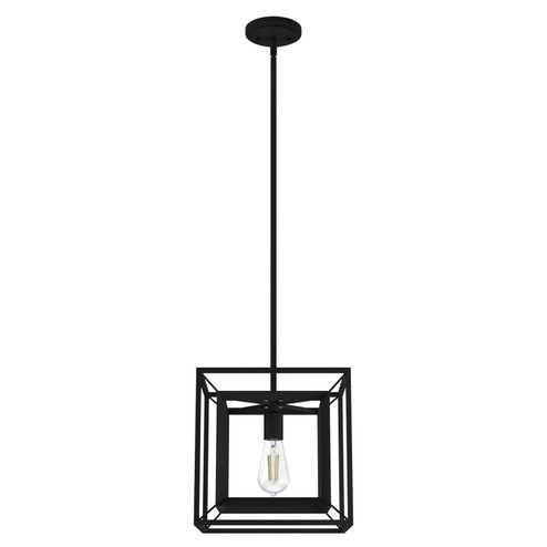 Doherty One Light Pendant in Natural Black Iron (47|19406)