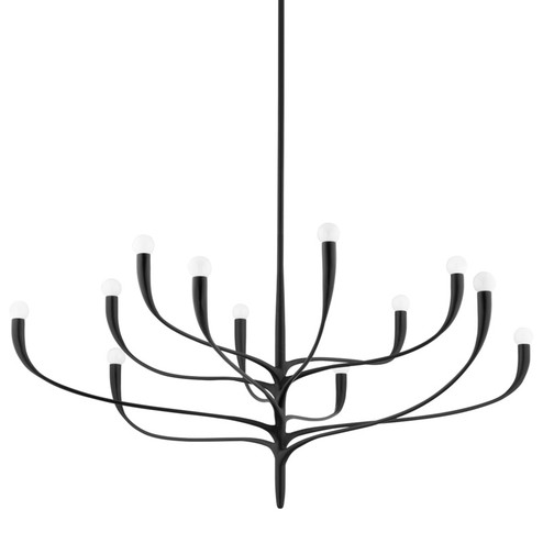 Labra 12 Light Chandelier in Aged Iron (70|9612AI)